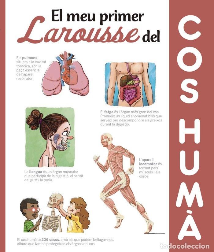 B&uuml;cher: MEU PRIMER LAROUSSE DEL COS HUMA,EL - LAROUSSE EDITORIAL