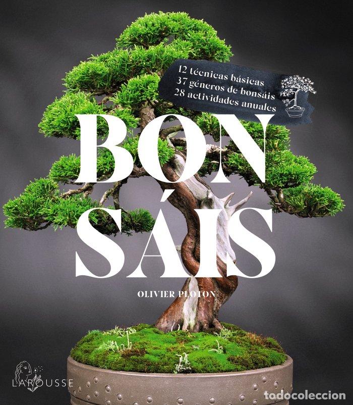Libros: BONSAIS - SAMSON, REMY