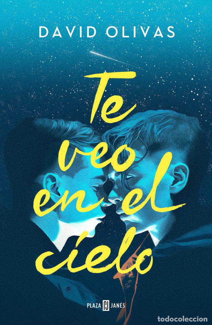 books: TE VEO EN EL CIELO - DAVID OLIVAS
