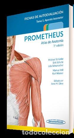 Libri: PROMETHEUS ATLAS DE ANATOMIA FICHAS DE AUTOEVALUACION - AA.VV