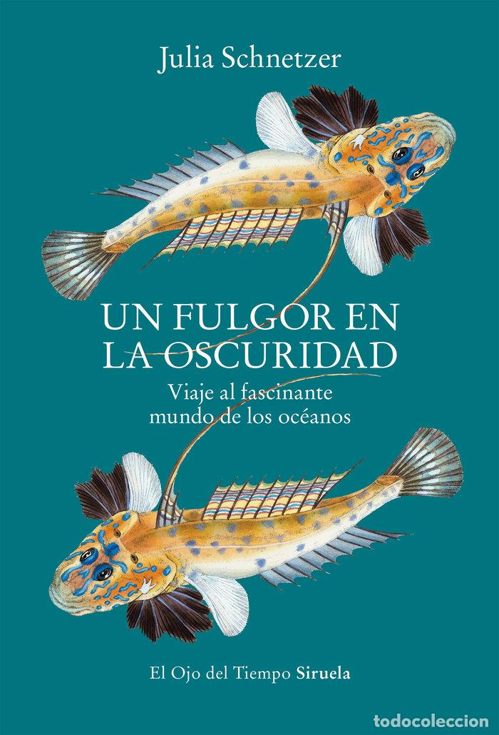 books: UN FULGOR EN LA OSCURIDAD - SCHNETZER, JULIA