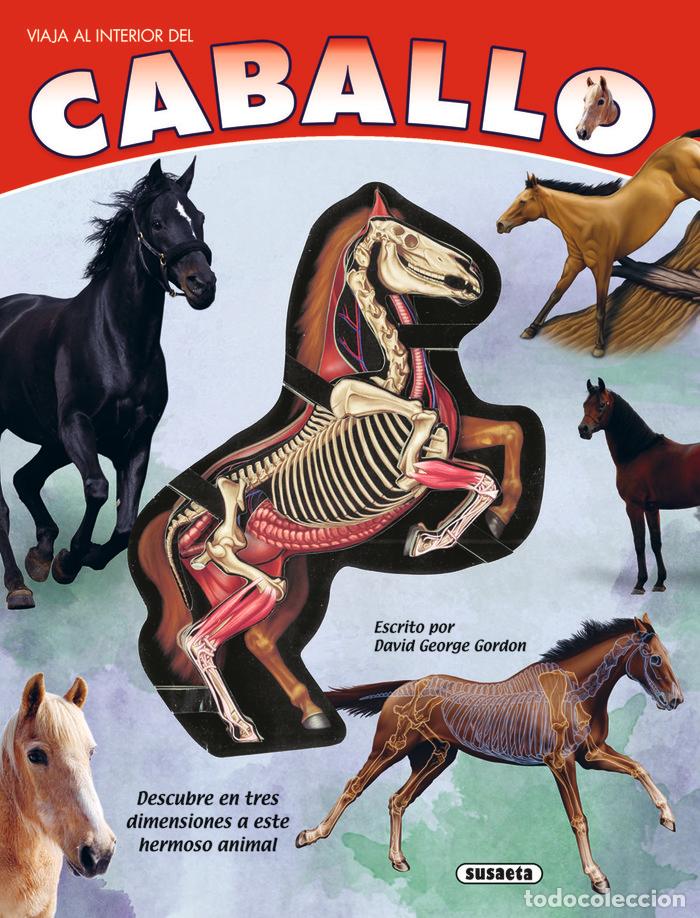 Libros: EL CABALLO - GORDON, DAVID GEORGE