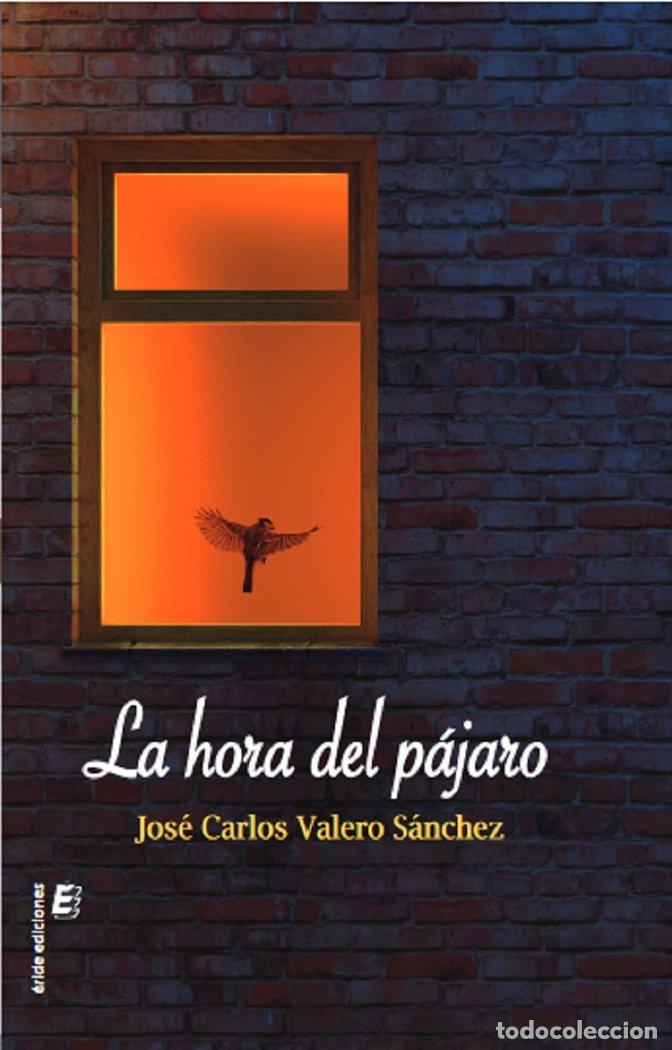 Libros: LA HORA DEL PAJARO - VALERO SANCHEZ, JOSE CARLOS