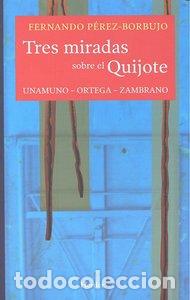 Libros: TRES MIRADAS SOBRE EL QUIJOTE - PEREZ-BORBUJO, FERNANDO
