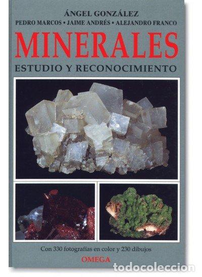 Libri: MINERALES ESTUDIO Y RECONOCIMIENTO - GONZALEZ, ANGEL