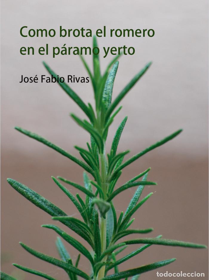 Libros: COMO BROTA EL ROMERO EN EL PARAMO YERTO - RIVAS GUERRERO, JOSE FABIO