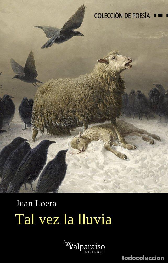 books: TAL VEZ LA LLUVIA - LOERA, JUAN