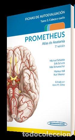books: PROMETHEUS ATLAS DE ANATOMIA FICHAS DE AUTOEVALUACION - AA.VV