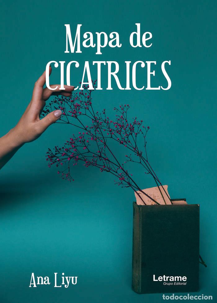 Libros: MAPA DE CICATRICES - LIYU, ANA