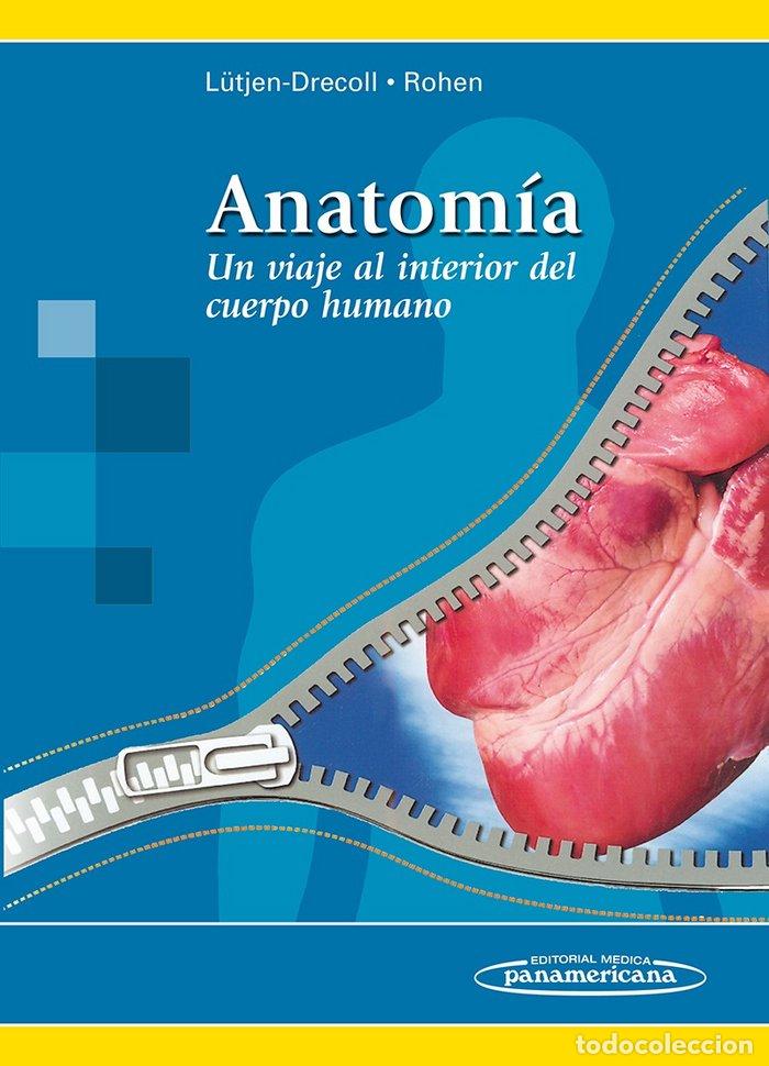 Livres: ANATOMIA - L&Uuml;TJEN-DRECOLL, ROHEN