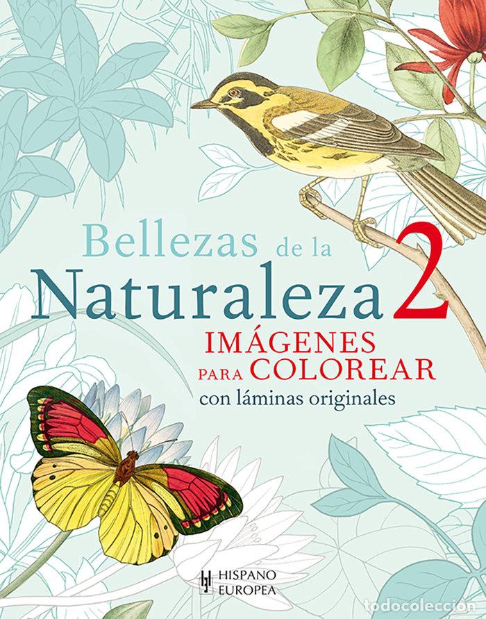 books: BELLEZAS DE LA NATURALEZA 2 - ARCTURUS