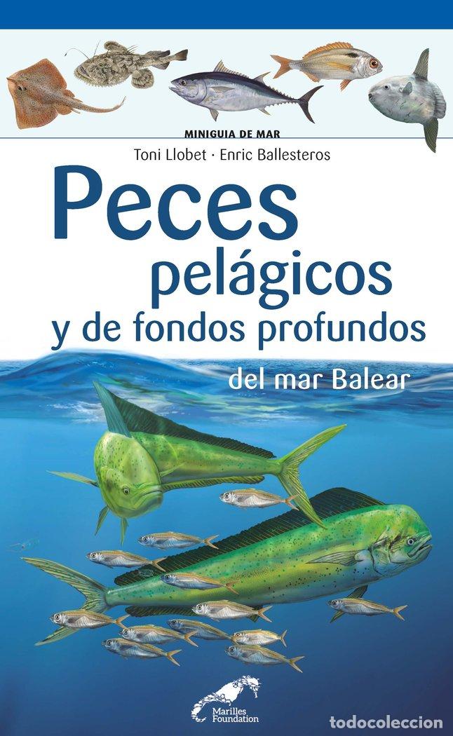 books: PECES PELAGICOS Y DE FONDOS PROFUNDOS DEL MAR BALEAR - LLOBET FRAN&Ccedil;OIS, TONI