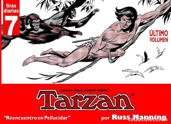 Livros: TARZAN TIRAS DIARIAS 7 REENCUENTRO EN PELUCIDAR - MANNING, RUSS