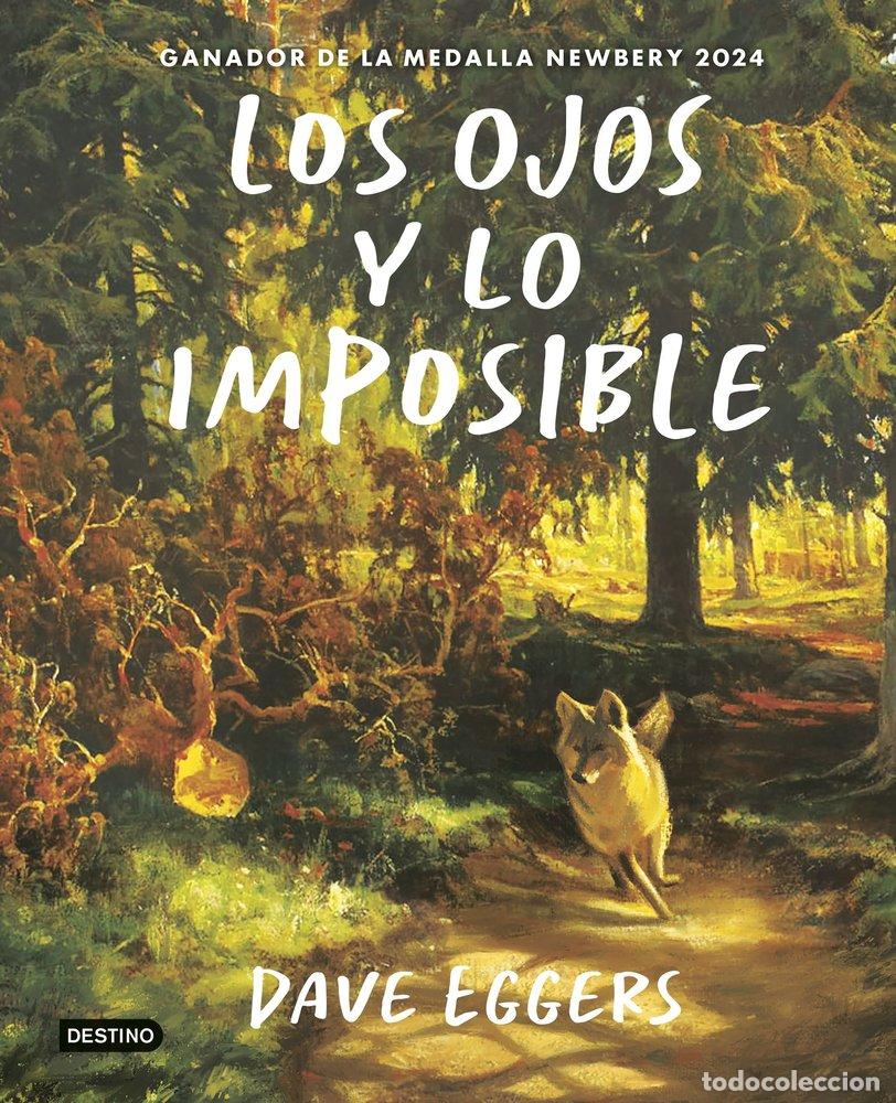 Libros: LOS OJOS Y LO IMPOSIBLE - EGGERS, DAVE
