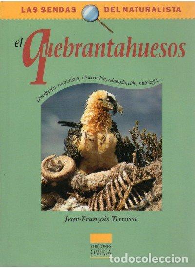 Libri: QUEBRANTAHUESOS - TERRASSE, JEAN-FRANCOIS