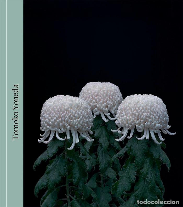 books: TOMOKO YONEDA - FUJIMURA