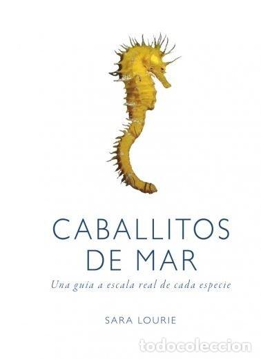 books: CABALLITOS DE MAR - LOURIE, SARA
