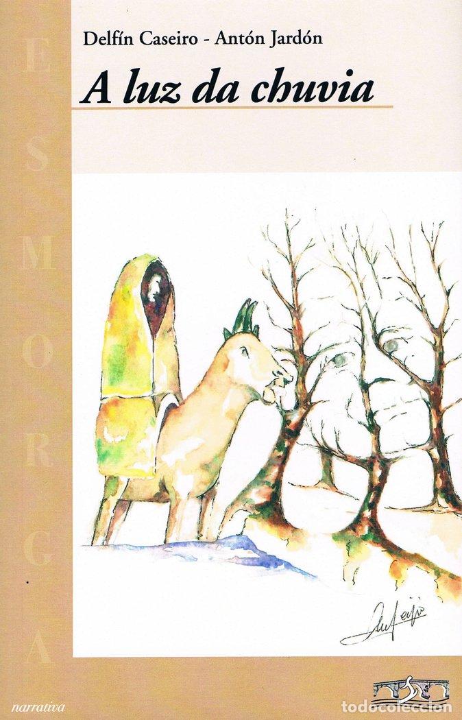 Libri: A LUZ DA CHUVIA - CASEIRO JARDON, DELFIN ANTON