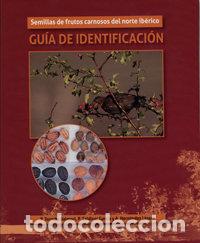Livres: SEMILLAS DE FRUTOS CARNOSOS DEL NORTE IBERICO. GUIA DE IDENT - TORROBA BALMORI, PALOMA