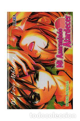 Libros: MI ANARANJADO ATARDECER 04 (COMIC) - KUMAGAI, KYOKO