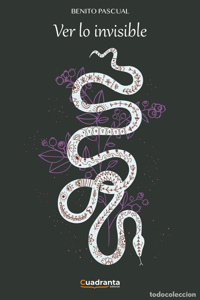 Libri: VER LO INVISIBLE - PASCUAL, BENITO