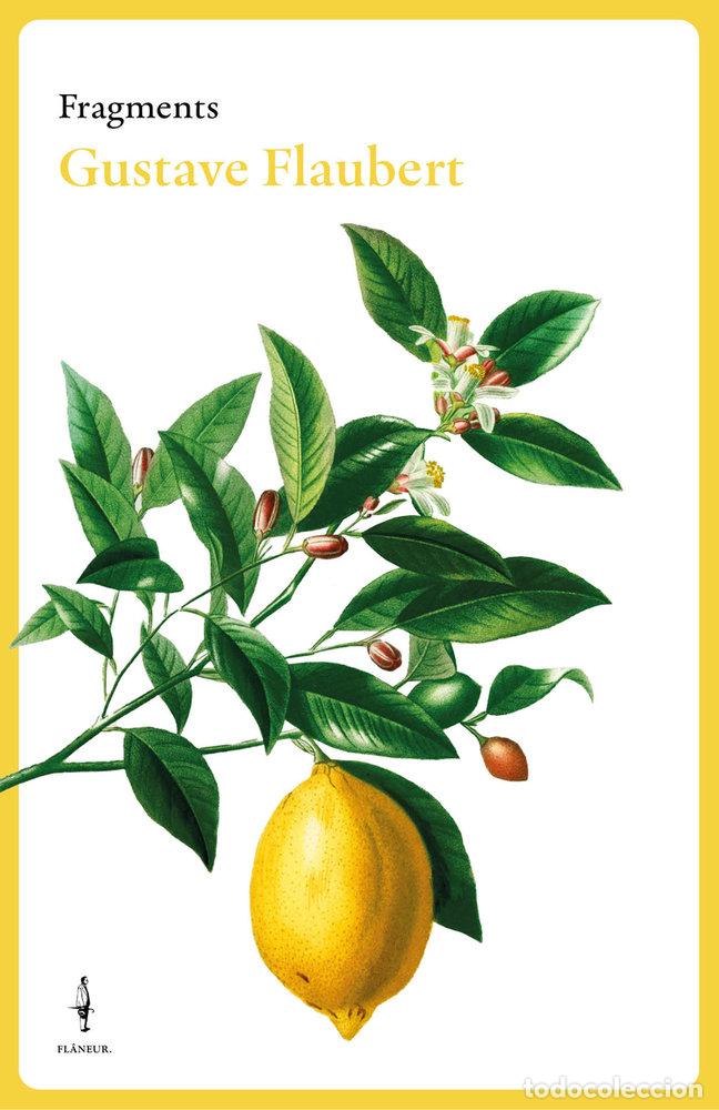 Libros: FRAGMENTS GUSTAVE FLAUBERT - FLAUBERT, GUSTAVE