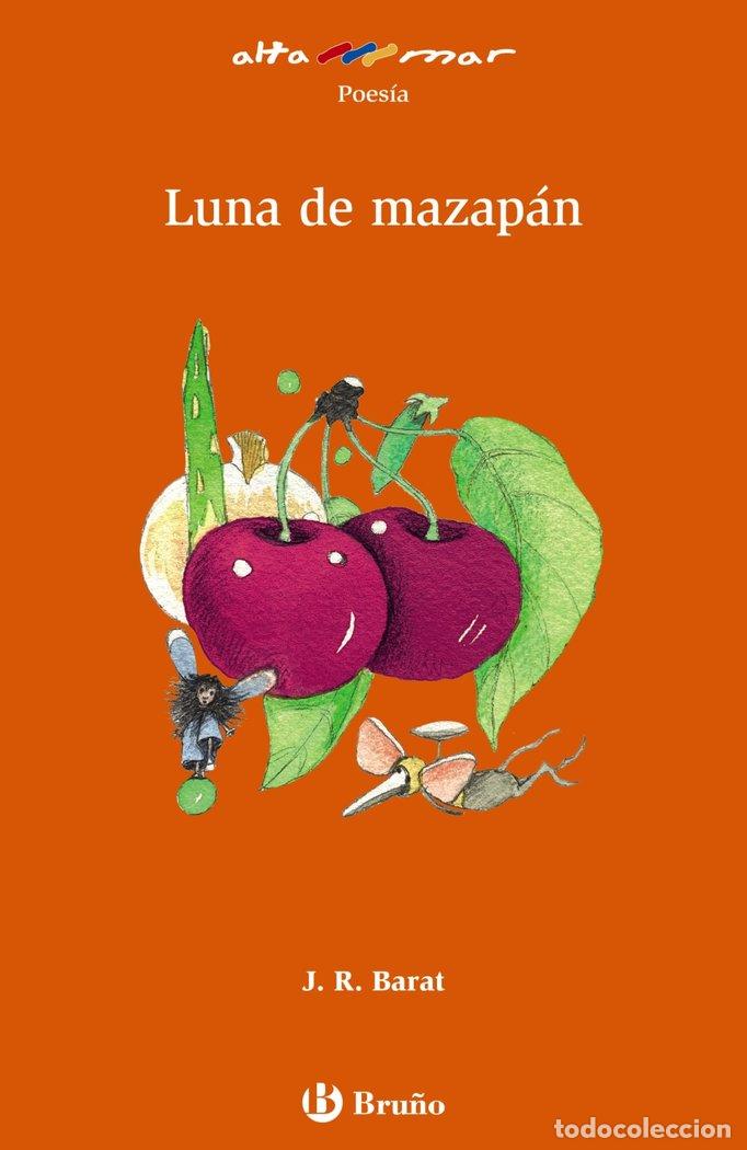 books: LUNA DE MAZAPAN - BARAT, J R