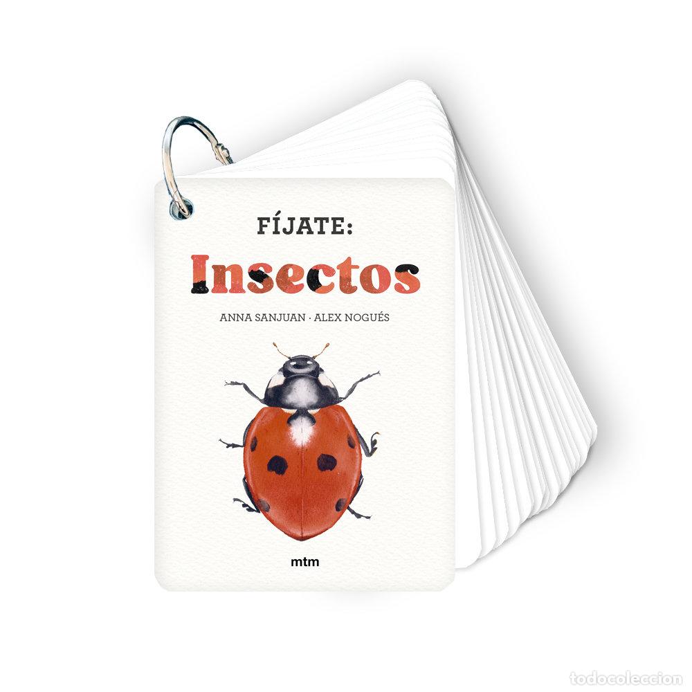 Libros: FIJATE INSECTOS - SANJUAN LLORENS, ANNA