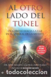 B&uuml;cher: AL OTRO LADO DEL TUNEL - GAONA, JOSE MIGUEL