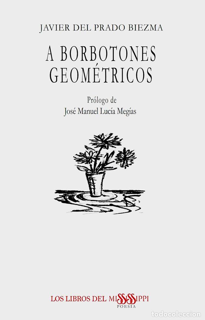 Libros: A BORBOTONES GEOMETRICOS - DEL PRADO BIEZMA, JAVIER