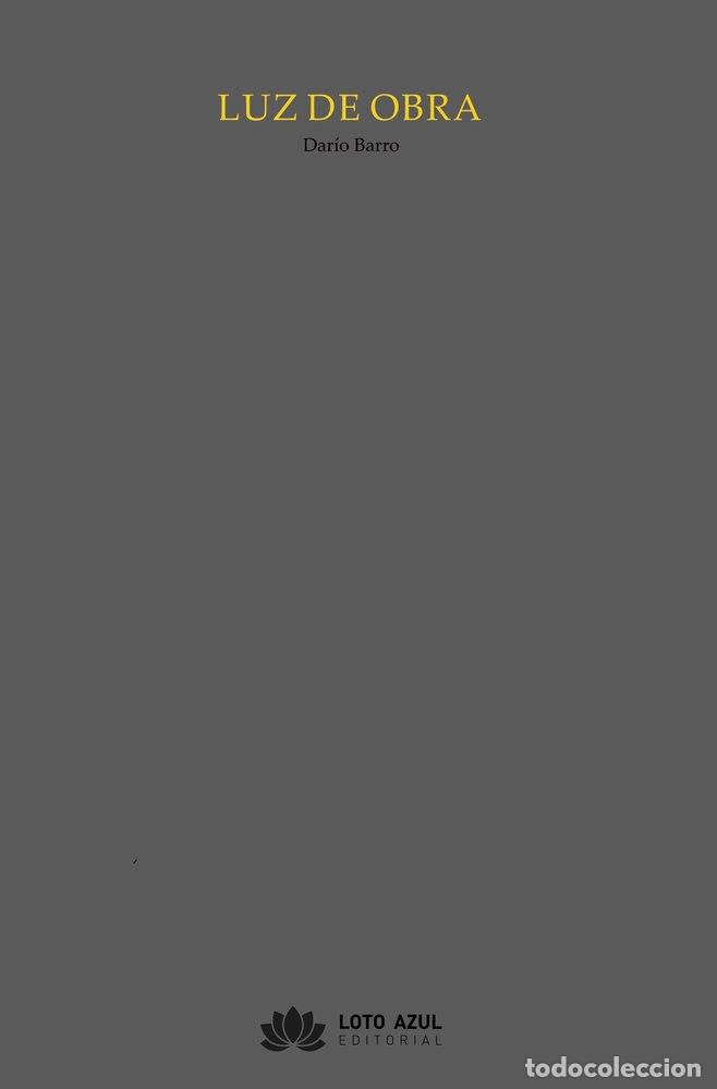 Libros: LUZ DE OBRA - BARRO, DARIO