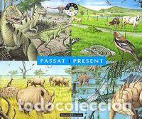 Libros: PASSAT I PRESENT - BERTOLUCCI - CUCUCCHIARINI