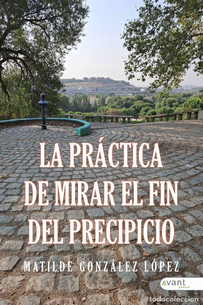 Libros: LA PRACITCA DE MIRAR AL FIN DEL PRECIPICIO - GONZALEZ LOPEZ, MATILDE