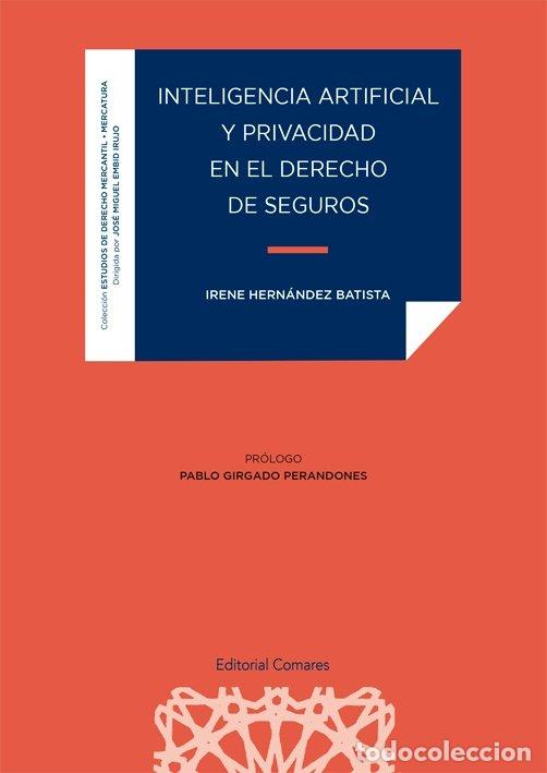 Libros: INTELIGENCIA ARTIFICIAL Y PRIVACIDAD EN EL DERECHO DE SEGUR - HERNANDEZ BATISTA, IRENE