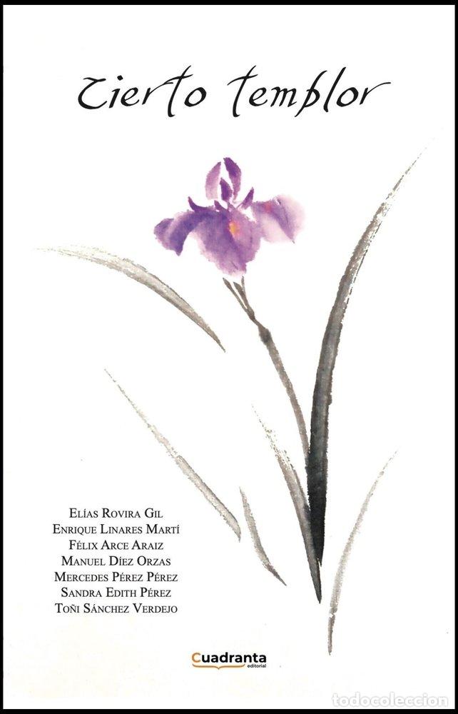 B&uuml;cher: CIERTO TEMBLOR - ARCE ARAIZ, FELIX