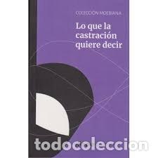 Libros: LO QUE LA CASTRACION QUIERE DECIR - ALDERETE SANDRA ELISABET