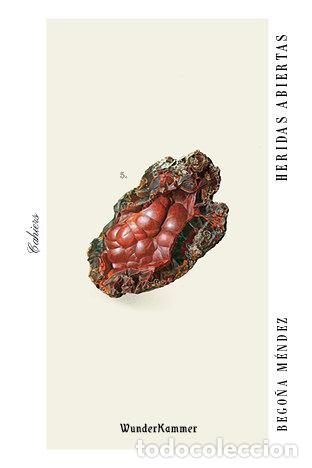 Libros: HERIDAS ABIERTAS - MENDEZ, BEGO&Ntilde;A