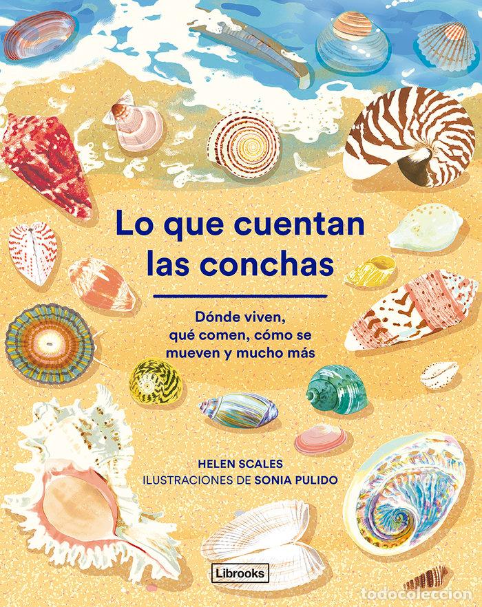 Libri: LO QUE CUENTAN LAS CONCHAS - PULIDO, SONIA