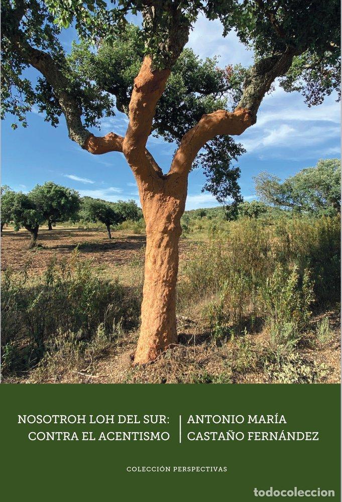 Libros: NOSOTROH LOH DEL SUR: CONTRA EL ACENTISMO - CASTA&Ntilde;O FERNANDEZ, ANTONIO MARIA