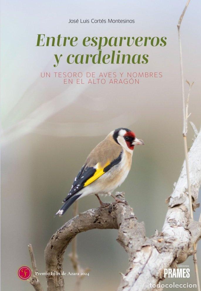 Libros: ENTRE ESPARVEROS Y CARDELINAS - JOSE LUIS CORTES MONTESINOS