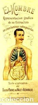 Libros: EL HOMBRE REPRESENTACION GRAFICA DE SU ESTRUCTURA EN CINCO - DEL VALLE Y ALDABALDE, RAFAEL