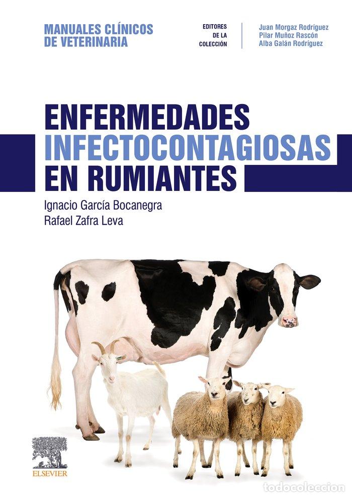 Libri: ENFERMEDADES INFECTOCONTAGIOSAS EN RUMIANTES - GARCIA BOCANEGRA, IGNACIO