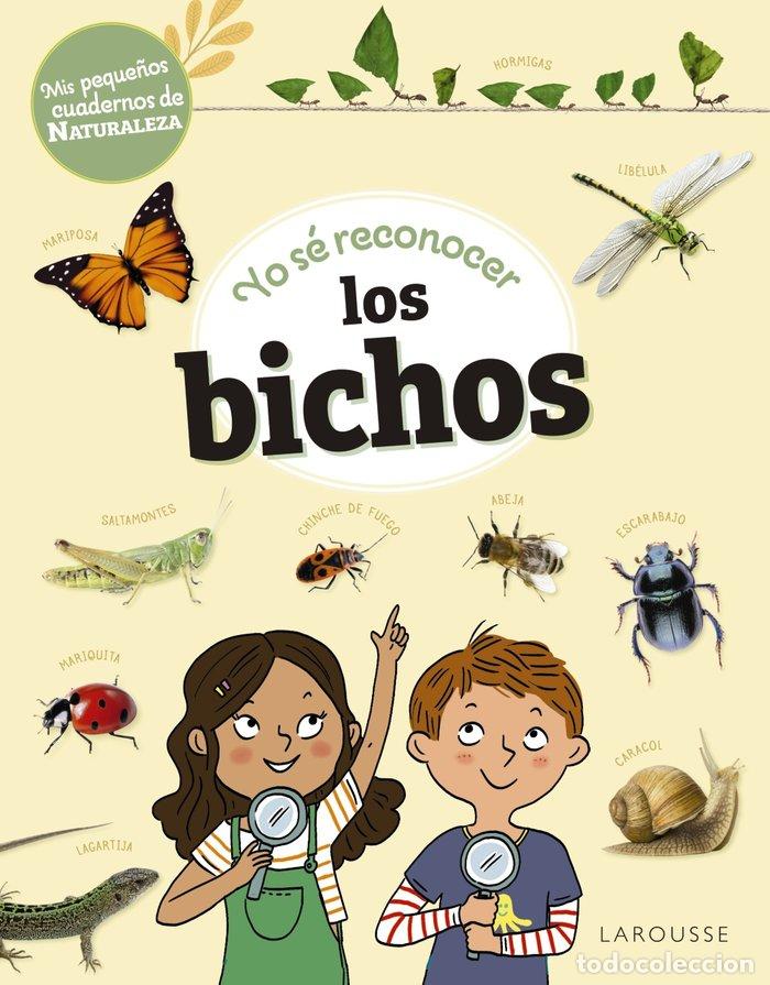 books: YO SE RECONOCER LOS BICHOS - LEBRUN, SANDRA
