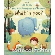 Livros: VERY FIRST QUESTIONS AND ANSWERS WHAT IS POO? - KATIE DAYNES