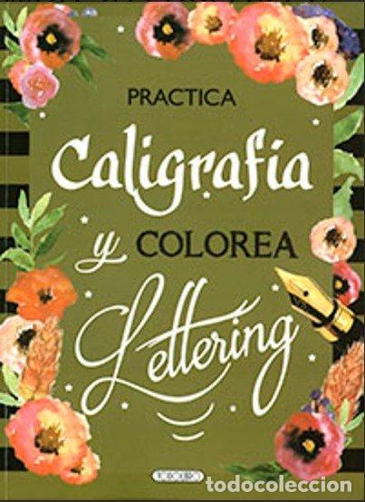Libros: PRACTICA CALIGRAFIA Y LETTERING T5096-002 - AA.VV