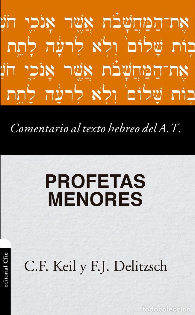 Libros: COMENTARIO AL TEXTO HEBREO DEL AT PROFETAS MENORES - DELITZSCH, FRANZ JULIUS