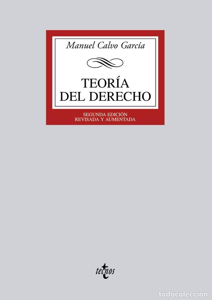 books: TEORIA DEL DERECHO - CALVO GARCIA, MANUEL