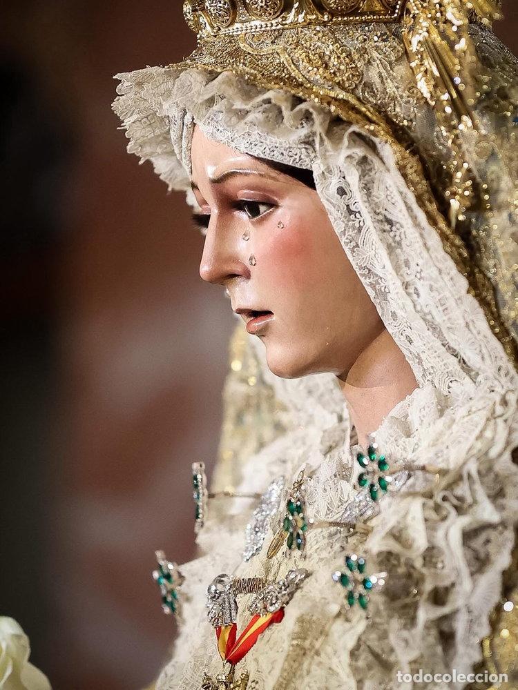 Libros: PREGON HISTORICO SEMANA SANTA DE SEVILLA 1956R - RODRIGUEZ BUZON, ANTONIO