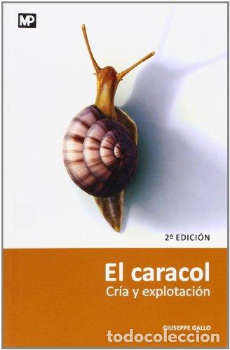 books: CARACOL, EL HELICICULTURA - GUISEPPE GALLO