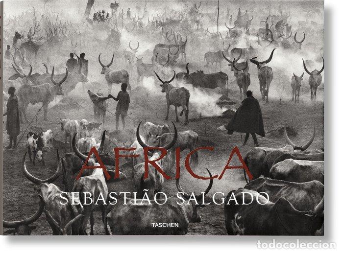 Libros: SALGADO AFRICA (IN/FR/AL) - AA.VV.